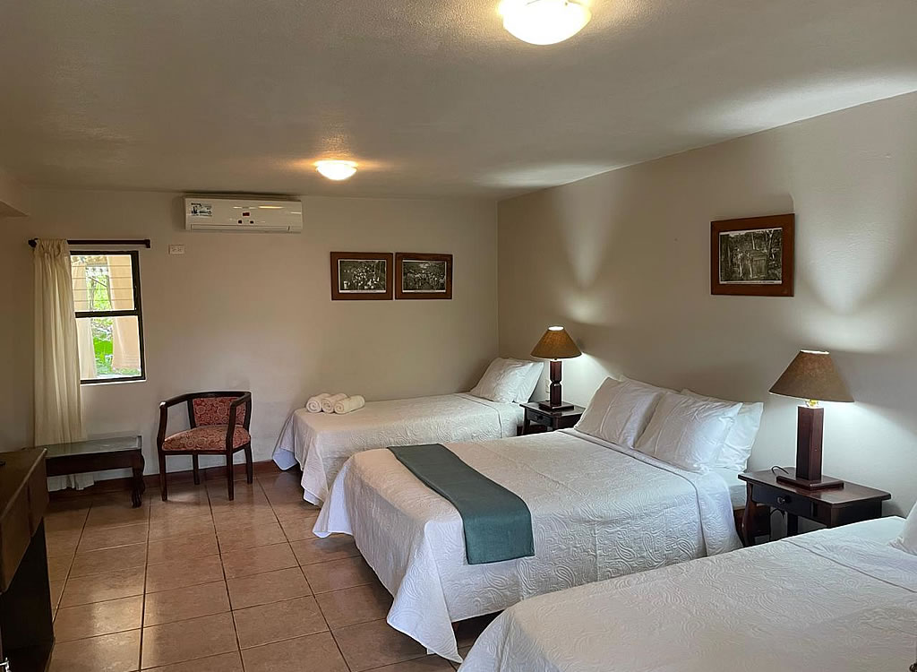 Habitación Twin Con Vistas Al Jardín