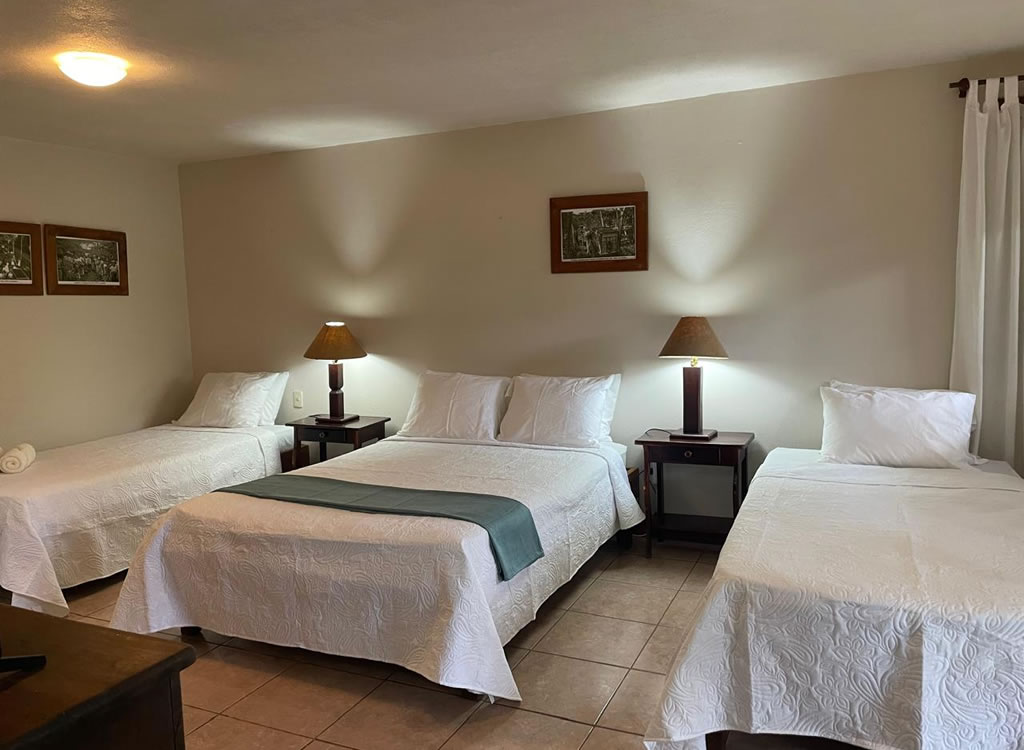 Habitación Twin Con Vistas Al Jardín