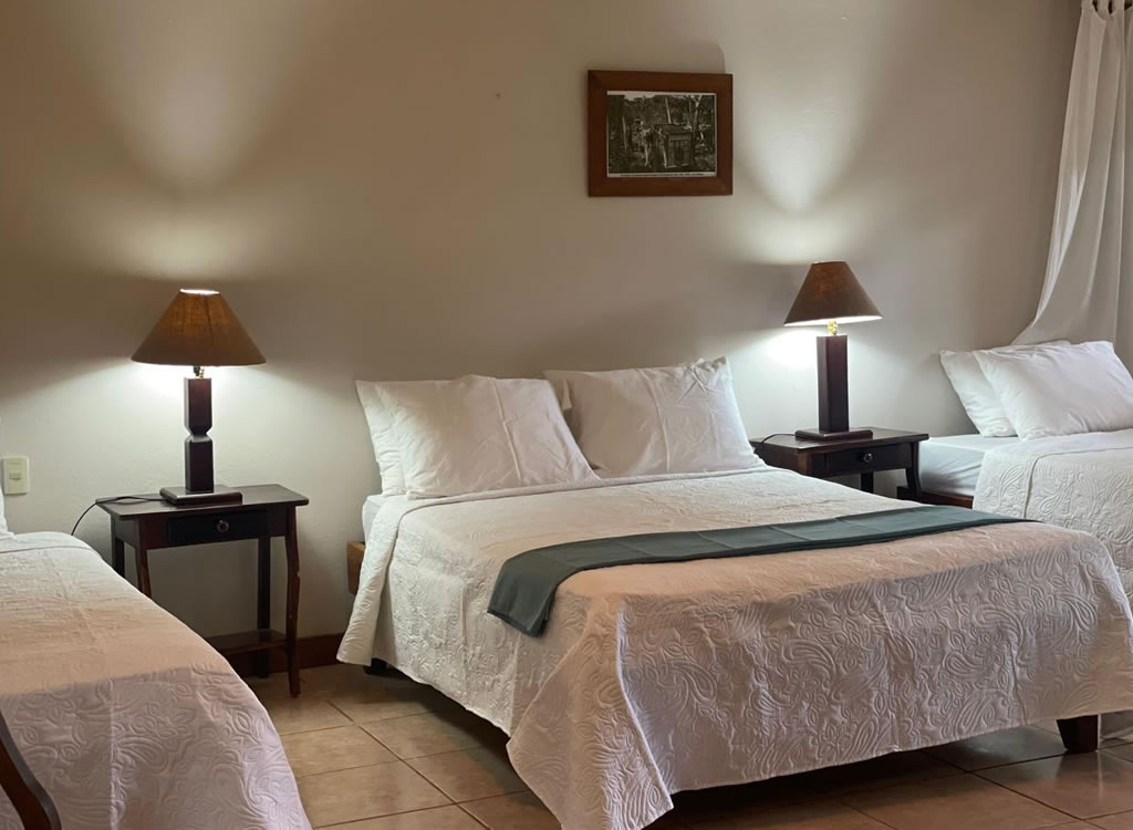 Habitación Twin Con Vistas Al Jardín